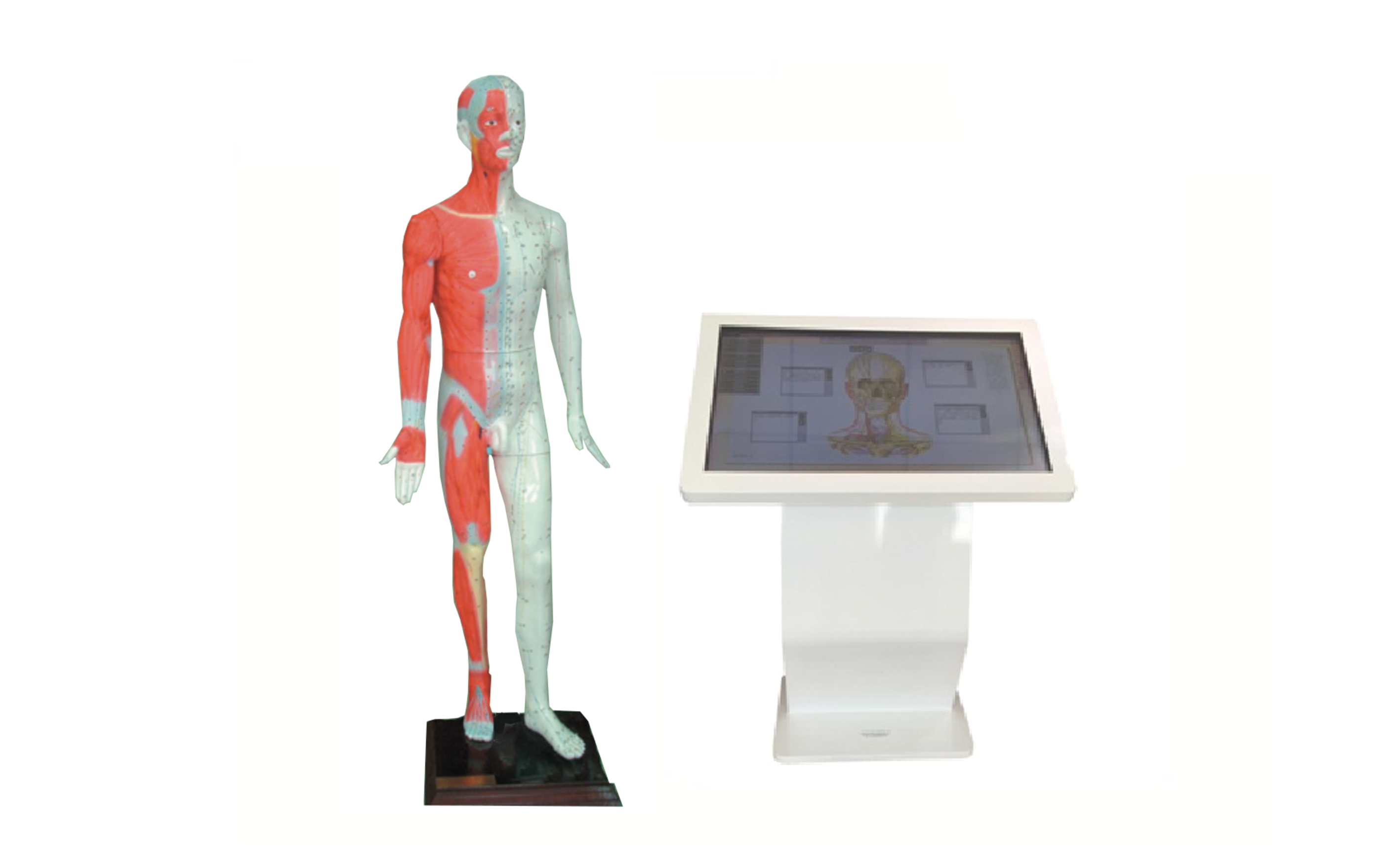 MZ209  55寸多媒体灯光演示数字交互式平台